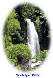 Trafalgar Falls